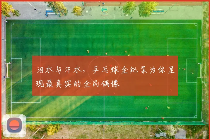 泪水与汗水，乒乓球全纪录为你呈现最真实的全民偶像